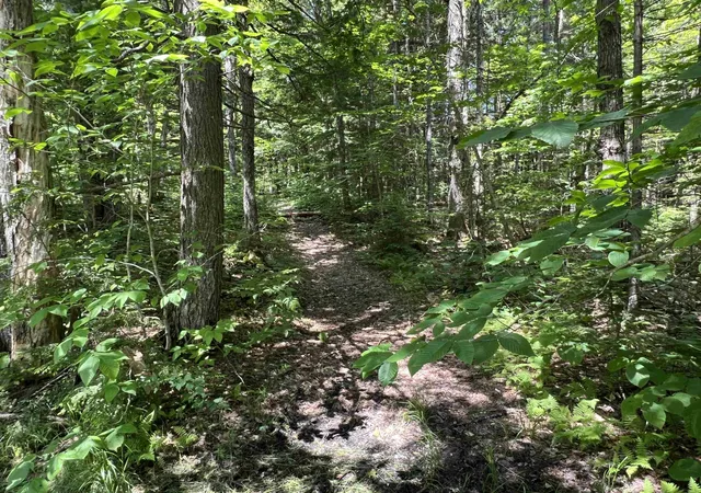 4th image of 42 Bills Rd, Stratton, VT 05360 | MLS# 5094556