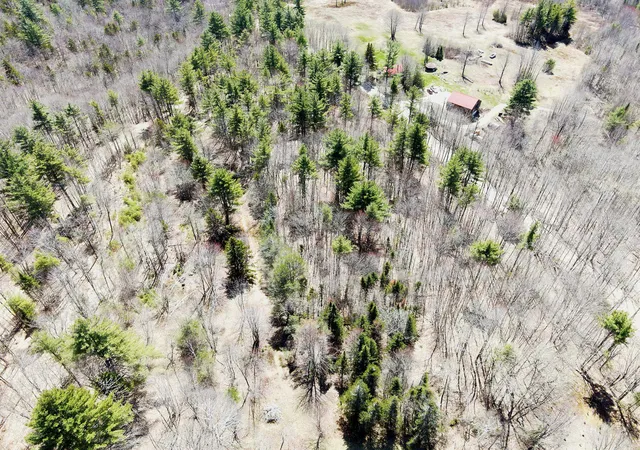 Homes for sale in Alexandria, NH | Tm 407 L 35 Shem Valley Rd, Alexandria, NH 03222 | MLS# 5094630