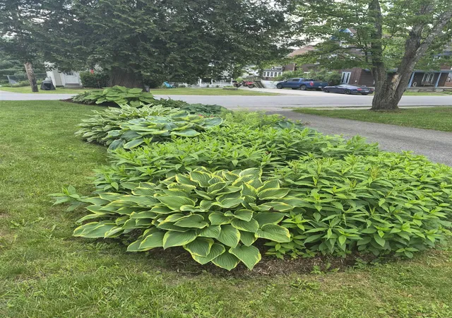 44th image of 48 Middle St, Lancaster, NH 03584 | MLS# 5094665
