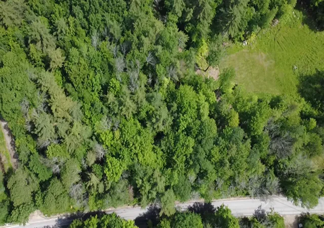 Photo 3 of Land for sale at 5 Brian Rd, Ossipee, NH 03864 | MLS# 5094696 | Listing updated on 2026-06-15