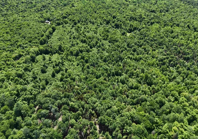 30th image of 0 Georges Blvd, East Haven, VT 05837 | MLS# 5094717