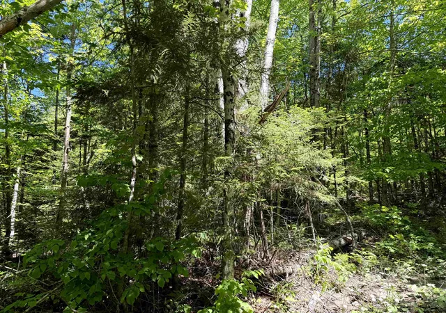 4th image of 0 Georges Blvd, East Haven, VT 05837 | MLS# 5094717