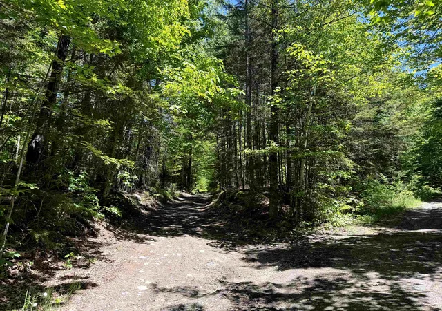 5th image of 0 Georges Blvd, East Haven, VT 05837 | MLS# 5094717