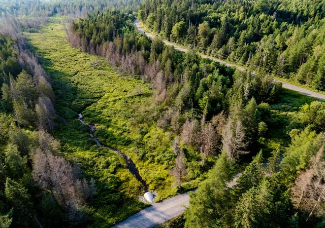 3rd image of 00 Watson Rd, Walden, VT 05843 | MLS# 5094738
