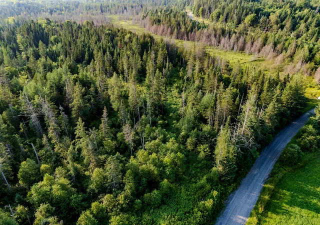 4th image of 00 Watson Rd, Walden, VT 05843 | MLS# 5094738