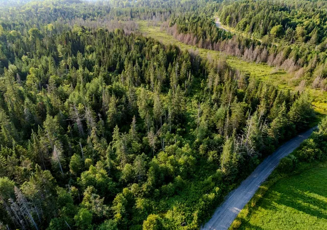 5th image of 00 Watson Rd, Walden, VT 05843 | MLS# 5094738