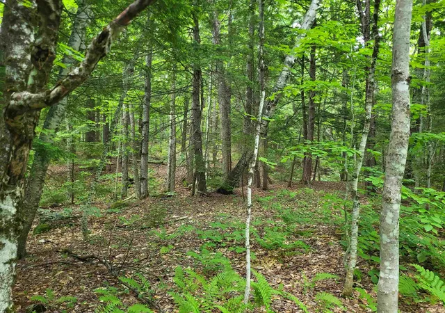 Homes for sale in Alexandria, NH | 269 Knowles Hill Rd, Alexandria, NH 03222 | MLS# 5094780