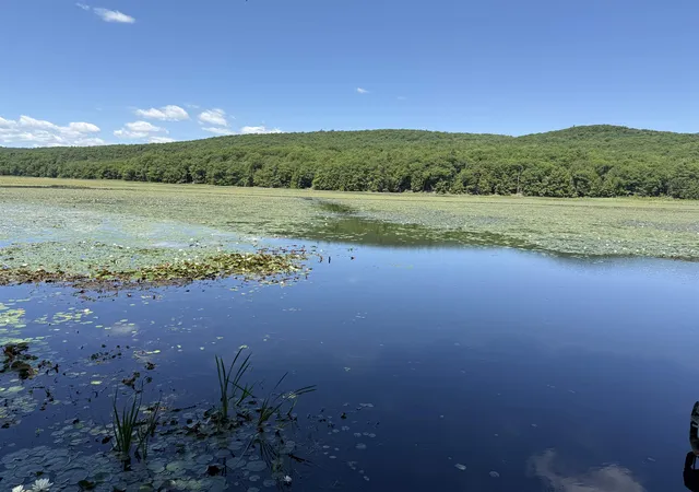 Photo 2 of Sale Pending at 1229 State Route 30s Rd, Bomoseen, VT 05732 | MLS# 5094816 | Listing updated on 2026-09-17