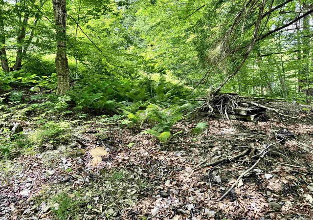 2nd image of 62 Foundry Rd, Tunbridge, VT 05077 | MLS# 5094852