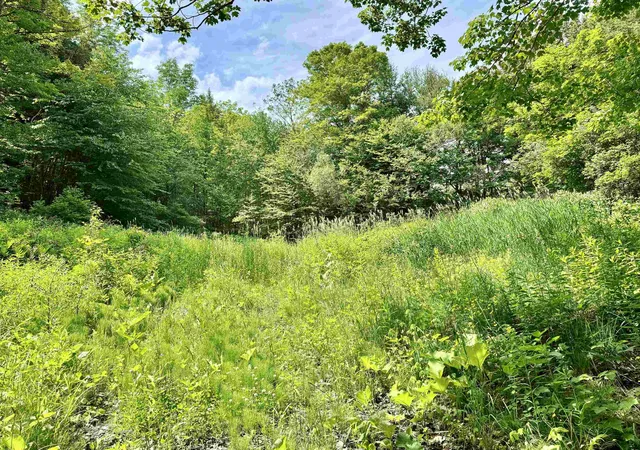 3rd image of 62 Foundry Rd, Tunbridge, VT 05077 | MLS# 5094852