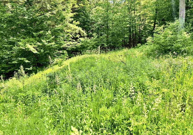 5th image of 62 Foundry Rd, Tunbridge, VT 05077 | MLS# 5094852