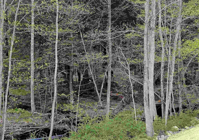 5th image of 86 Spring St, Farmington, NH 03835 | MLS# 5094867