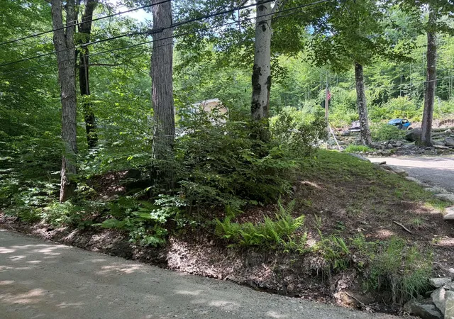 Homes for sale in Alexandria, NH | 1336 Washburn Rd, Alexandria, NH 03222 | MLS# 5094931