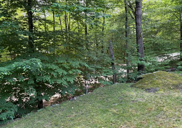 Homes for sale in Alexandria, NH | 1336 Washburn Rd, Alexandria, NH 03222 | MLS# 5094931