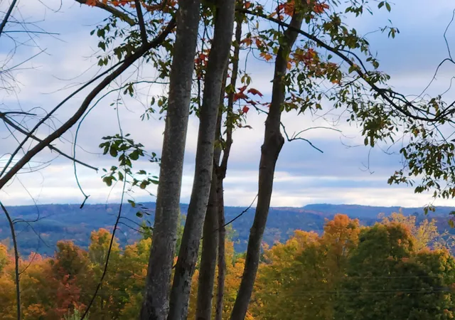 Homes for sale in Westminster, VT | 333 Us Route 5, Westminster, VT 05158 | MLS# 5095023