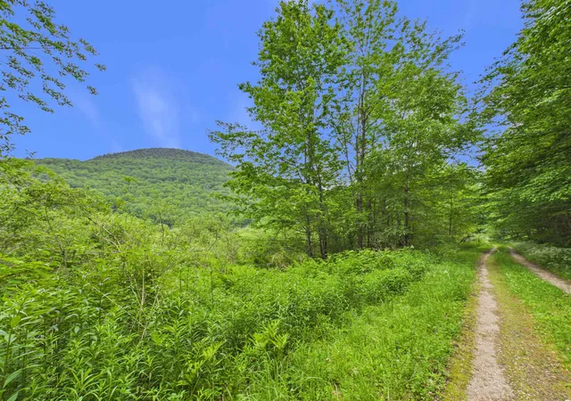 4th image of 00 River Rd, Killington, VT 05751 | MLS# 5095030