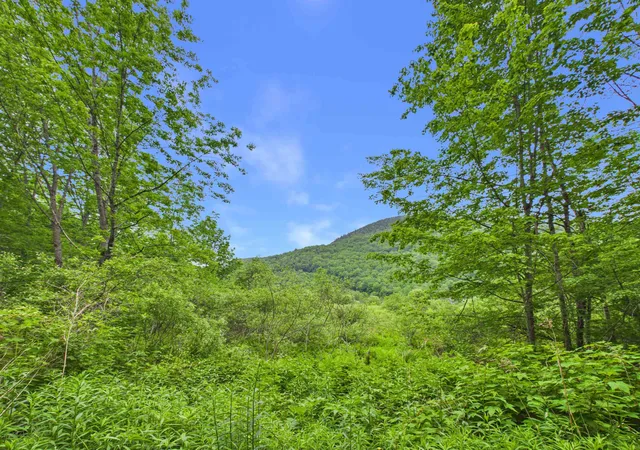 5th image of 00 River Rd, Killington, VT 05751 | MLS# 5095030