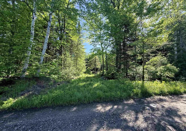1st image of 00 Tug Mountain Rd, Lunenburg, VT 05906 | MLS# 5095048