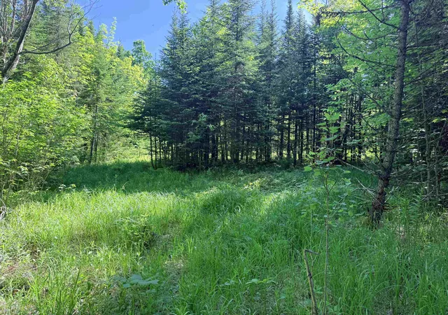 2nd image of 00 Tug Mountain Rd, Lunenburg, VT 05906 | MLS# 5095048