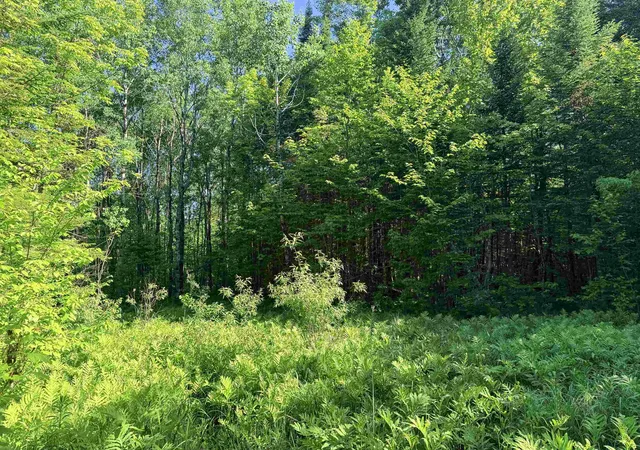 3rd image of 00 Tug Mountain Rd, Lunenburg, VT 05906 | MLS# 5095048