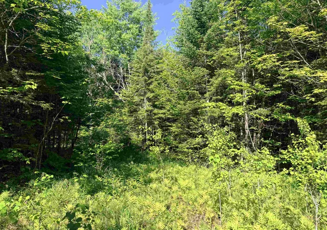 4th image of 00 Tug Mountain Rd, Lunenburg, VT 05906 | MLS# 5095048