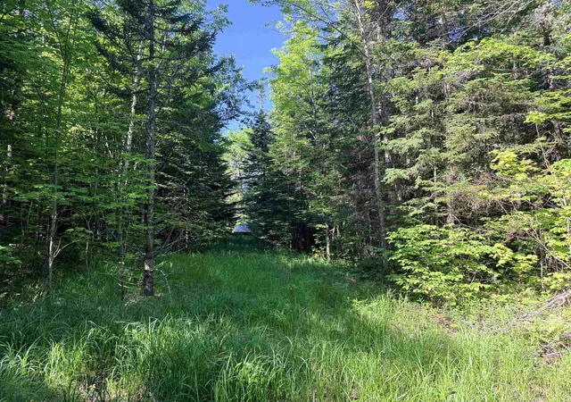 5th image of 00 Tug Mountain Rd, Lunenburg, VT 05906 | MLS# 5095048