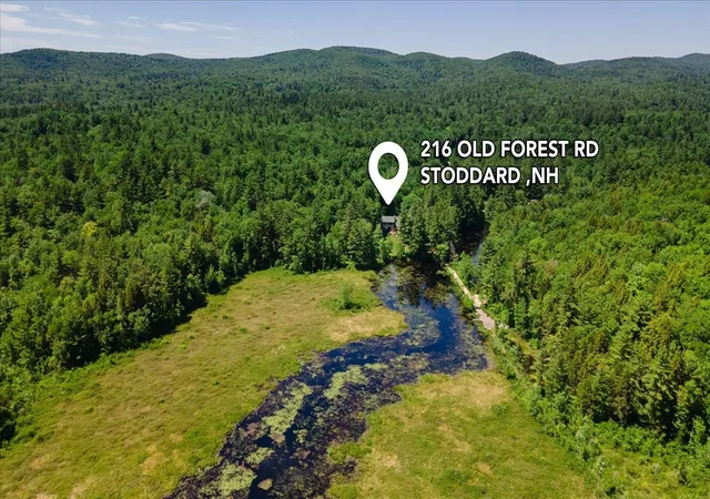 Homes for sale in Stoddard, NH | 216 Old Forest Rd, Stoddard, NH 03464 | MLS# 5095058
