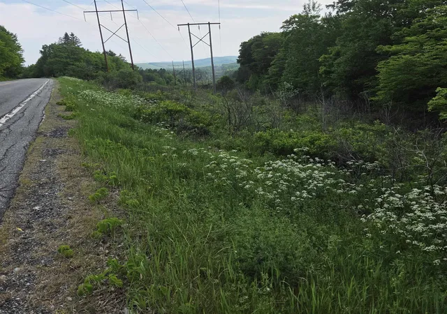 4th image of Us Route 302, Topsham, VT 05076 | MLS# 5095128