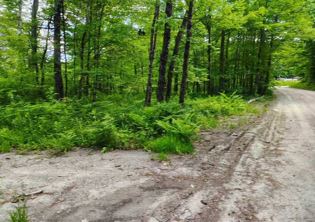 Homes for sale in Wentworth, NH | 12 Frescoln Rd, Wentworth, NH 03282 | MLS# 5095186