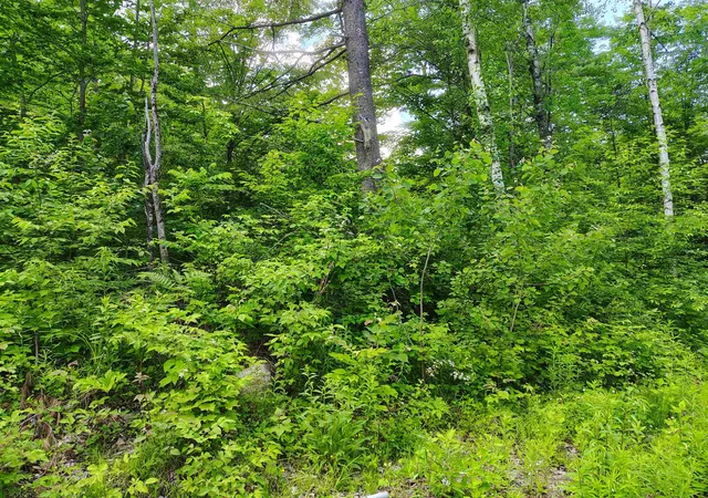 Homes for sale in Wentworth, NH | 12 Frescoln Rd, Wentworth, NH 03282 | MLS# 5095186