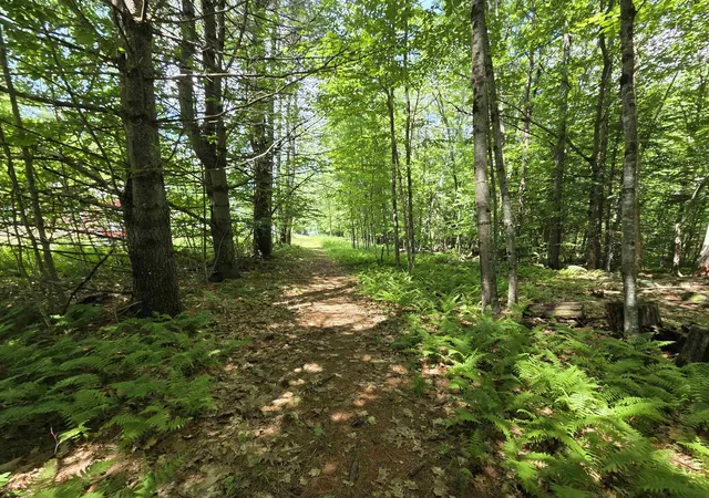 Homes for sale in Canaan, NH | 372 Canaan St, Canaan, NH 03741 | MLS# 5095284