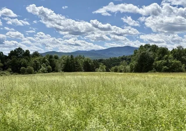 1st image of 00 Battle Row Rd, Hyde Park, VT 05655 | MLS# 5095326