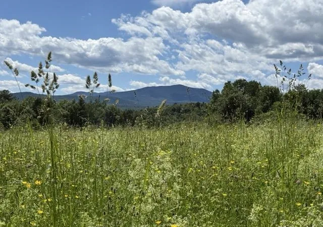 4th image of 00 Battle Row Rd, Hyde Park, VT 05655 | MLS# 5095326