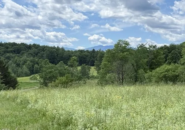 5th image of 00 Battle Row Rd, Hyde Park, VT 05655 | MLS# 5095326