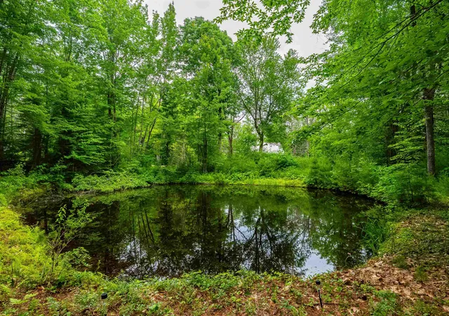 32nd image of 143 Town House Rd, Effingham, NH 03882 | MLS# 5095382