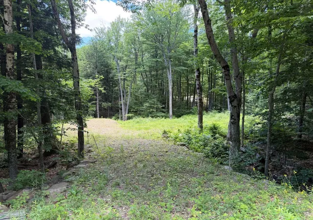 Homes for sale in Stoddard, NH | 151 Red Coat Ln, Stoddard, NH 03464 | MLS# 5095395