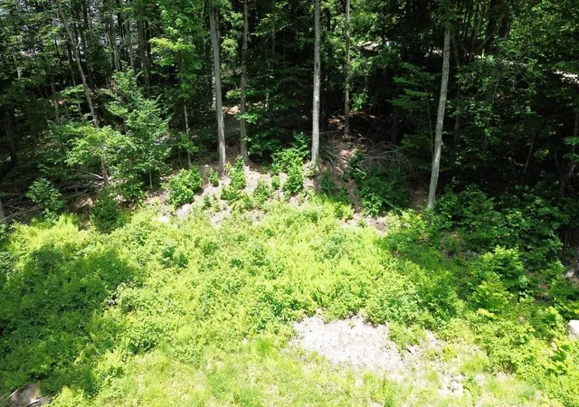 Homes for sale in Stoddard, NH | 151 Red Coat Ln, Stoddard, NH 03464 | MLS# 5095395