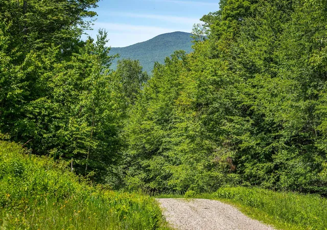 Homes for sale in Jamaica, VT | 691 Black Bear Rd, Jamaica, VT 05343 | MLS# 5095401