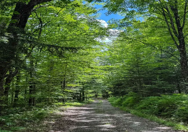 1st image of 273 Guyette Rd, Lowell, VT 05847 | MLS# 5095407