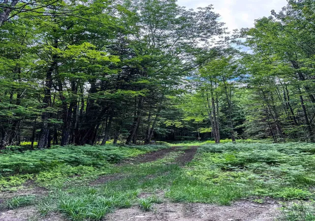 4th image of 273 Guyette Rd, Lowell, VT 05847 | MLS# 5095407