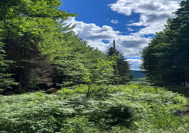 5th image of 273 Guyette Rd, Lowell, VT 05847 | MLS# 5095407