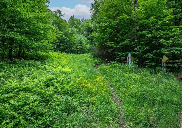 Homes for sale in Stratton, VT | 24 Sawmill Rd, Stratton, VT 05155 | MLS# 5095419
