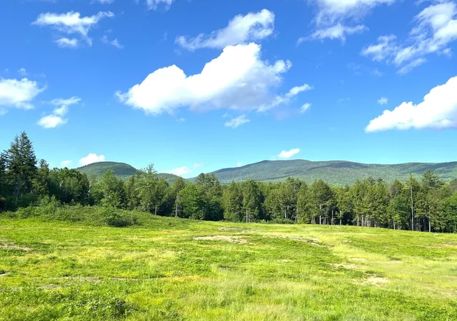 Homes for sale in Wentworth, NH | 139 A Turner Rd, Wentworth, NH 03282 | MLS# 5095440