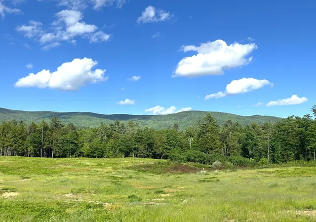 Homes for sale in Wentworth, NH | 139 A Turner Rd, Wentworth, NH 03282 | MLS# 5095440
