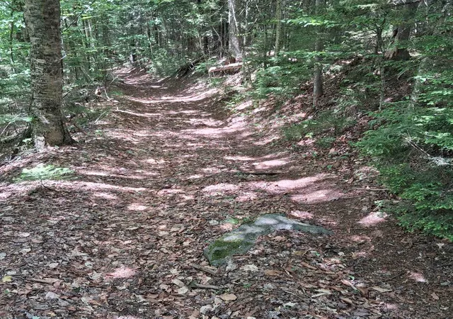 1st image of Lot 15 +37 Acre Spruce Ln, Eden, VT 05652 | MLS# 5095493