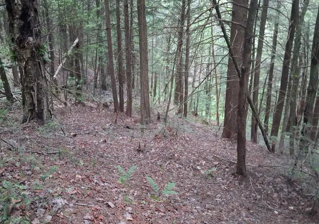 2nd image of Lot 15 +37 Acre Spruce Ln, Eden, VT 05652 | MLS# 5095493