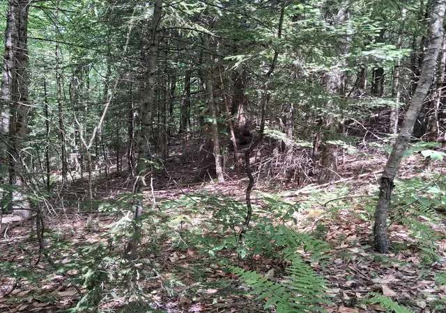 3rd image of Lot 15 +37 Acre Spruce Ln, Eden, VT 05652 | MLS# 5095493