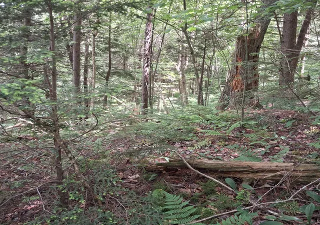 4th image of Lot 15 +37 Acre Spruce Ln, Eden, VT 05652 | MLS# 5095493