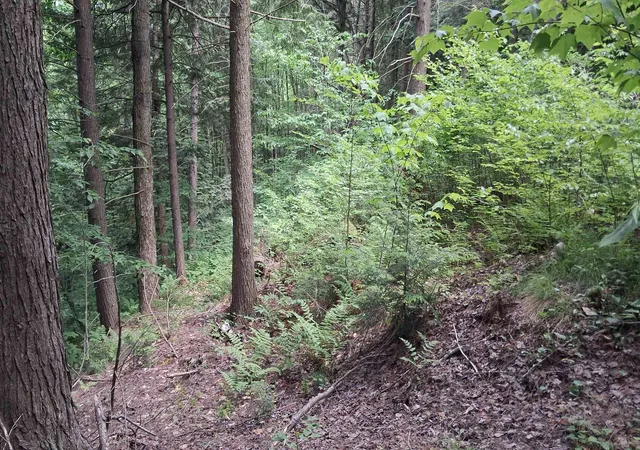 5th image of Lot 15 +37 Acre Spruce Ln, Eden, VT 05652 | MLS# 5095493