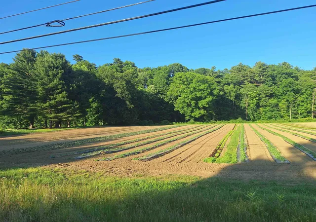 2nd image of 00 Main St, Walpole, NH 03608 | MLS# 5095553
